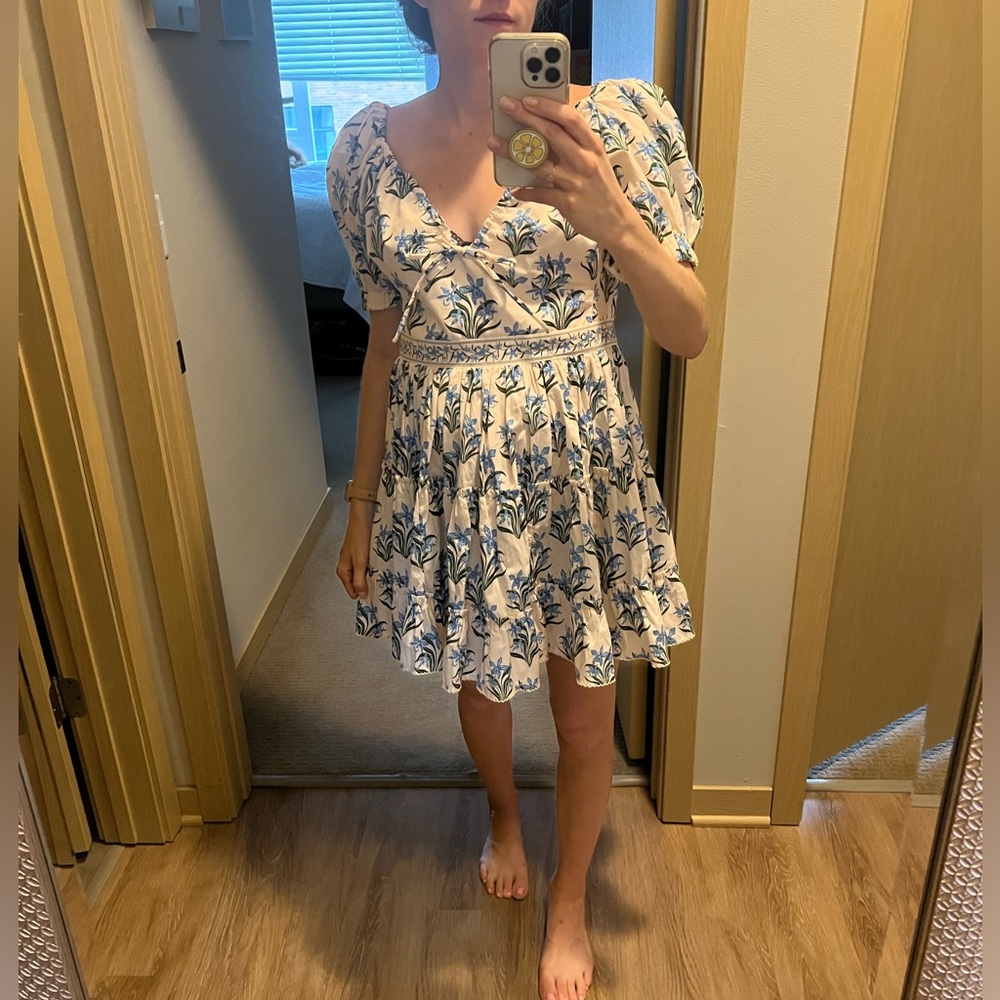 Agua by Agua Bendita Blue and White Floral Mini Dress - Picture 9 of 11